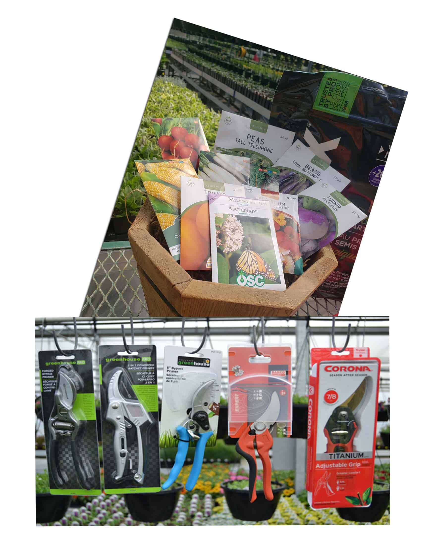 Arch Greenhouse Affordable · Sustainable · Responsible